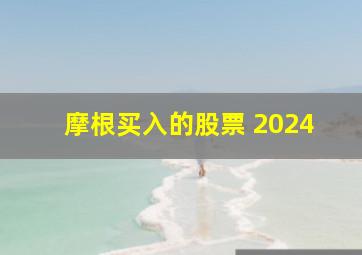 摩根买入的股票 2024